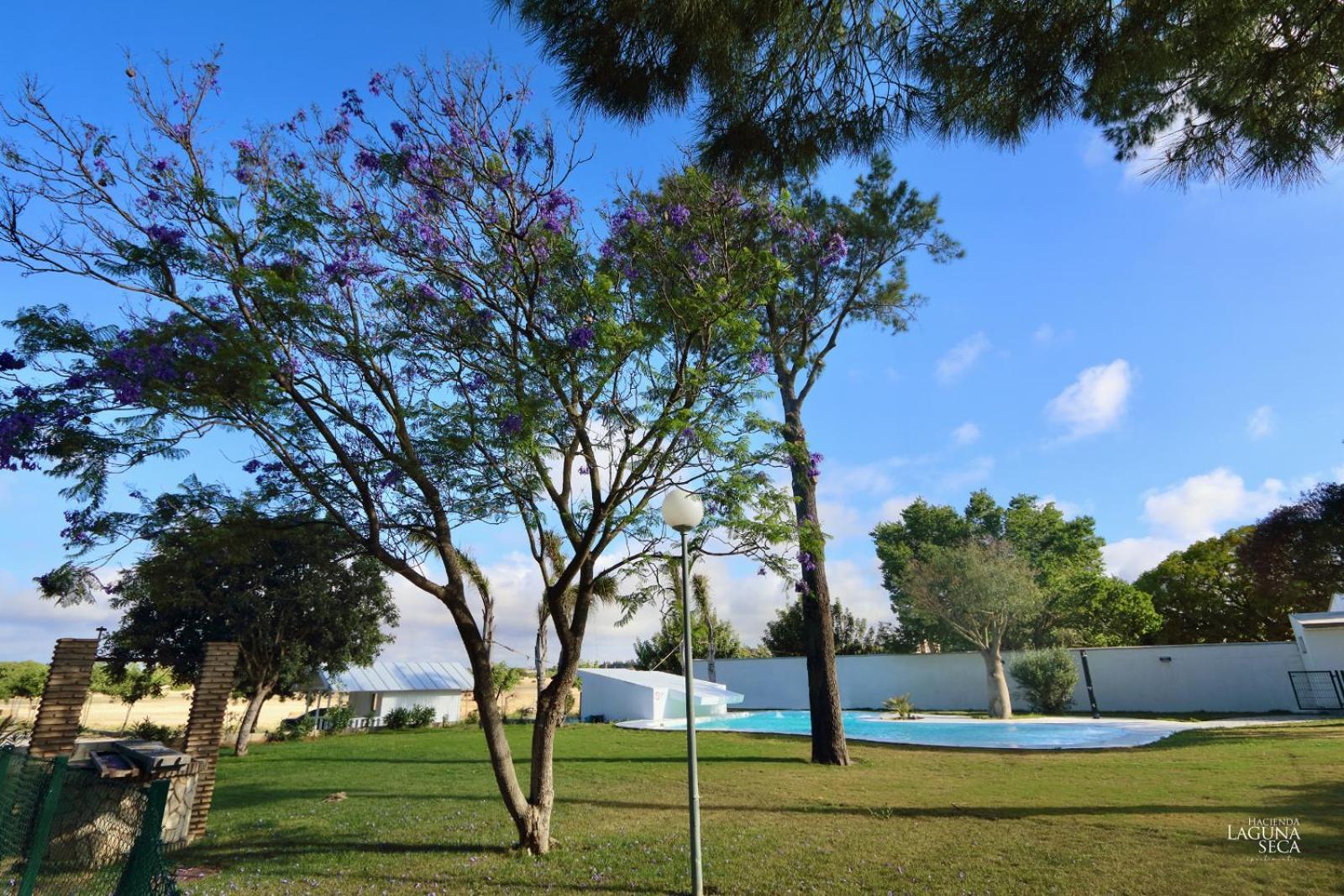 Hacienda Laguna Seca - Apart. Lavanda ชิกลานา เด ลา ฟรอนเตรา ภายนอก รูปภาพ